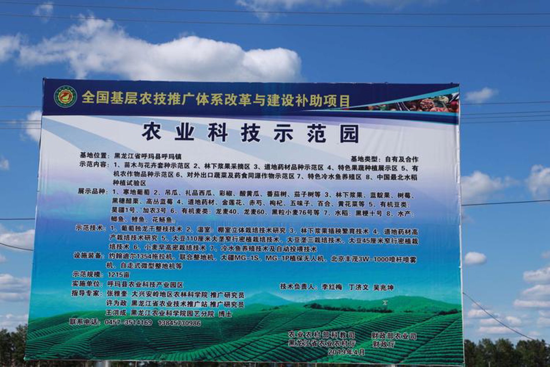 黄瓜树商贸